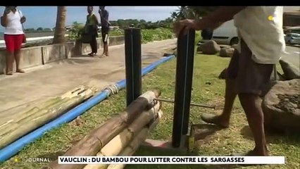 Stephane Bero est un marin-pêcheur vauclinois qui installe son barrage anti-sargasse avec du bambou