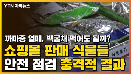 [자막뉴스] 암에 효능? 이 식물들, 절.대. 드시면 안 됩니다 / YTN