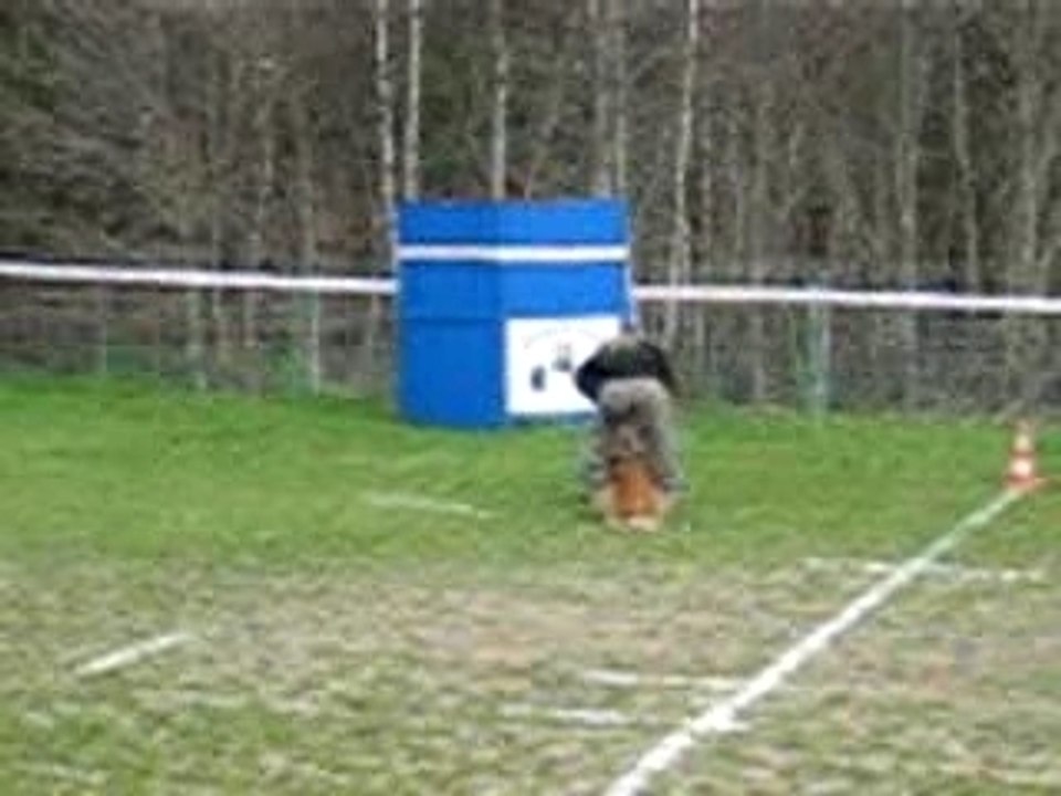 Concours st ferreol d'aurours 023