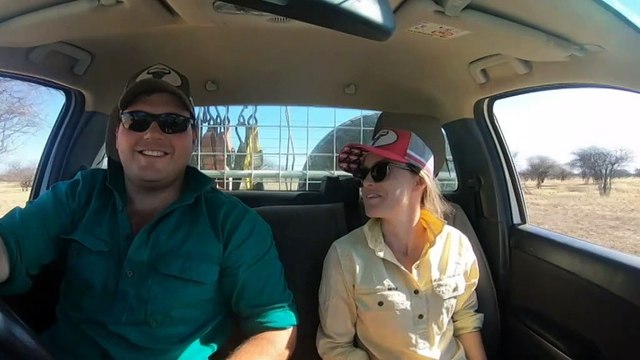 Newlyweds spend honeymoon giving farmers a break