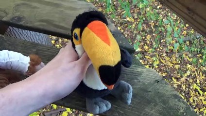 The Webkinz Show - Survivor of Hell Creek Part II