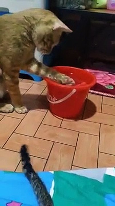 Playing