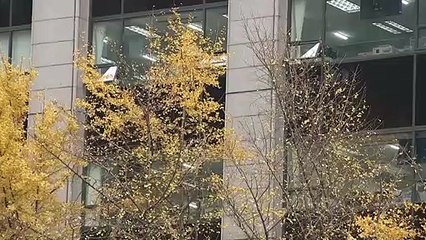 11월 18일 김진의 돌직구쇼 오프닝