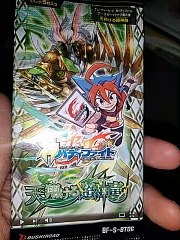 バディファイト開封1