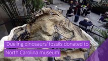 'Dueling dinosaurs' fossils donated to North Carolina museum, and other top stories in strange news from November 18, 2020.