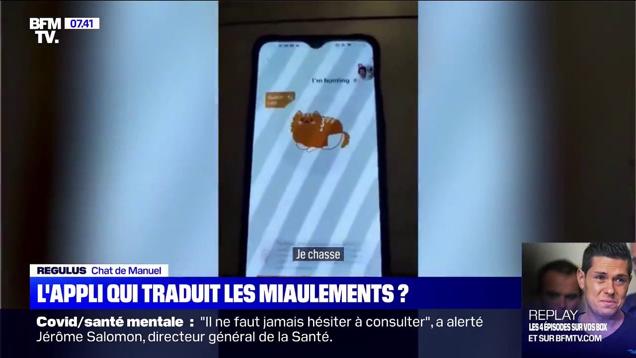 Que vaut "Meow Talk", l'appli qui prétend traduire les miaulements de votre chat ?