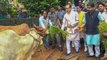 Will form 'Cow Cabinet' in Madhya Pradesh, says CM Shivraj Singh Chouhan