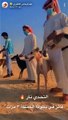 شاهد: منافسة شرسة في سباق الكلاب بالسعودية وهذه جائزة الفائز
