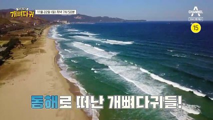 [예고] 함께라서 괜찮은 여행!? 네 남자의 '쉼표 여행'이 시작된다