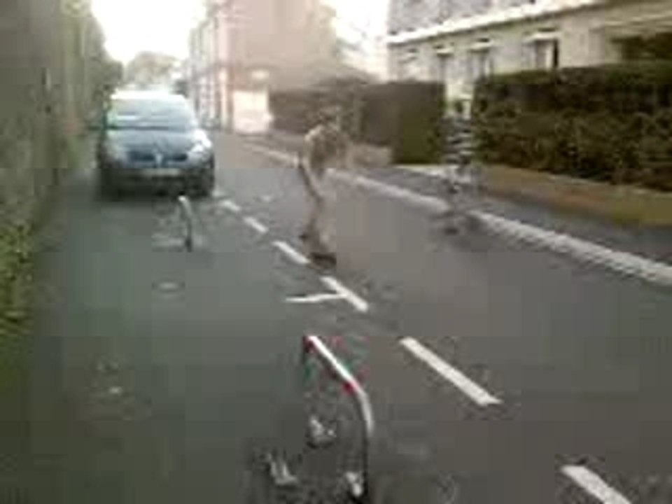 skate