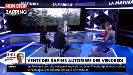 Confinement : pourra-t-on acheter un sapin de Noël ? Le gouvernement a tranché ! (Vidéo)