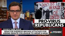 Brown- GOP Reps Show They Don’t Care About Essential Workers By Flouting Masks - All In - MSNBC