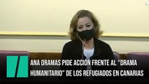 Ana Oramas pide acción del Gobierno frente al 