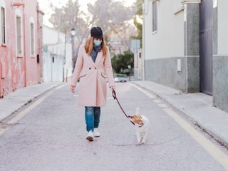 Haben Hundehalter ein höheres Corona-Risiko?
