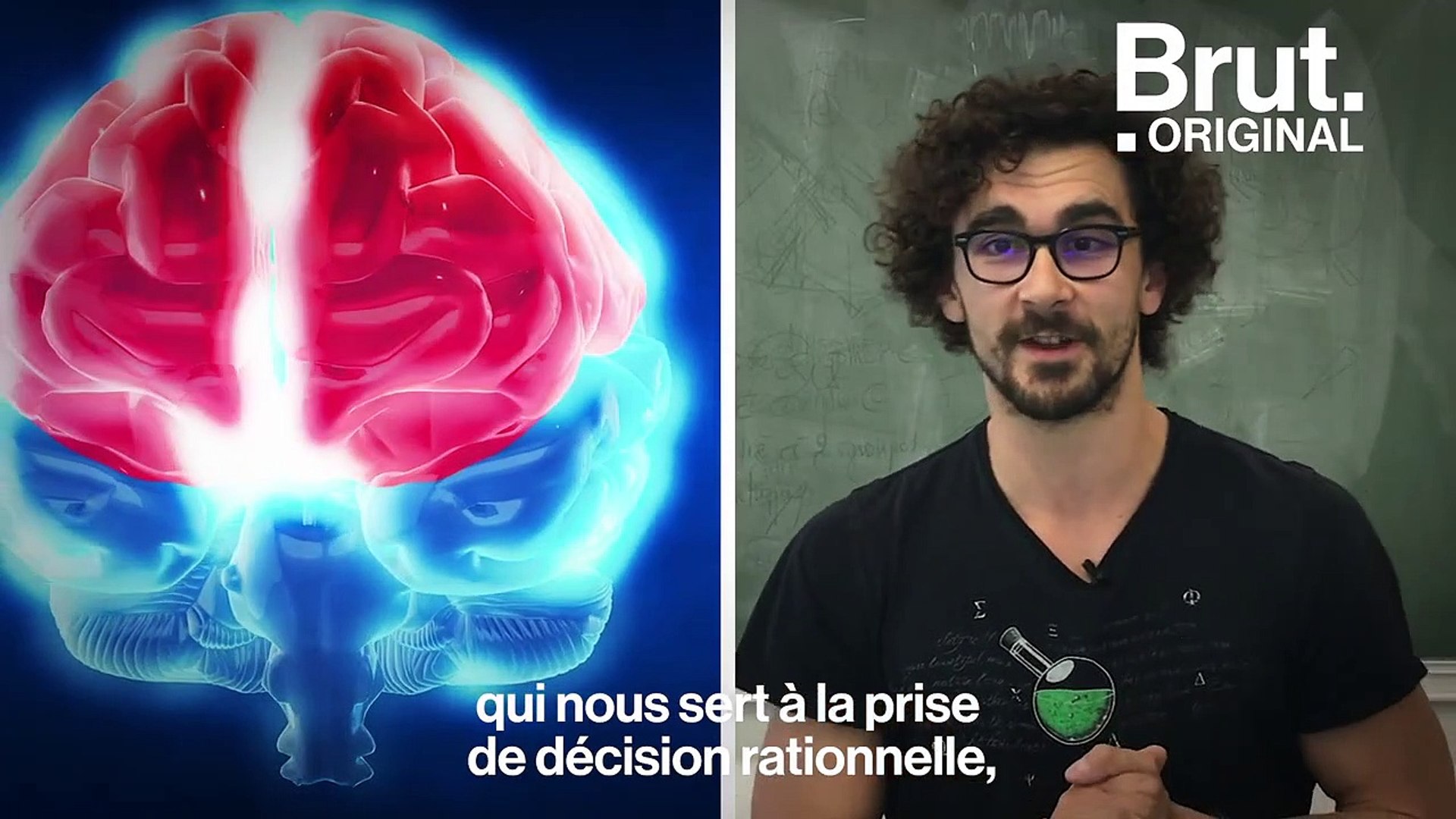 L Amour Rend Aveugle Il Dure Trois Ans Que Se Passe T Il Dans Le Cerveau Quand On Est Amoureux Video Dailymotion