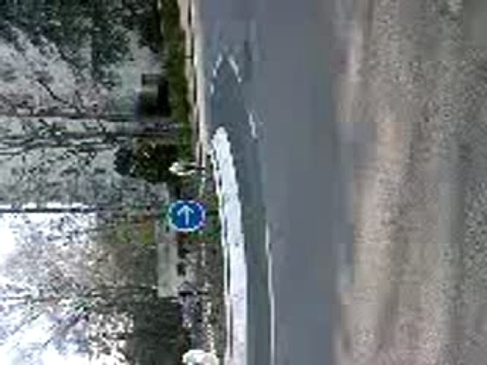 skate