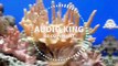 Patrick Patrikios - The Awakening (3D Remix)|Audio King|