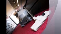 Deep Carpet Cleaning Services