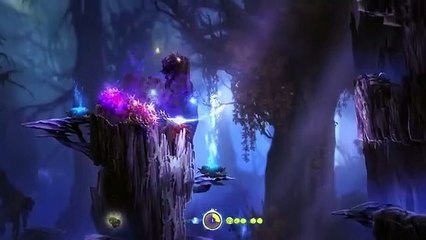 Accusations VS Evidence (Mirror)