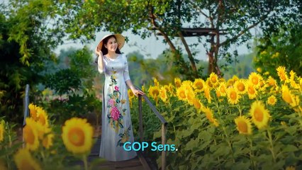 Did Lindsey Graham push Georgia to throw out legally cast ballots