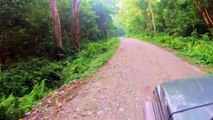 Jungle Tour With Old Jeep || Travel Dharan Sunsari || Daily Motion || Farak Paila