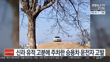 신라 유적 고분에 주차한 승용차 운전자 고발