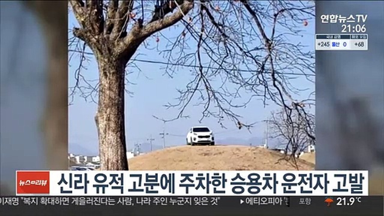 신라 유적 고분에 주차한 승용차 운전자 고발