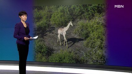 김주하의 11월 18일 '이 한 장의 사진'