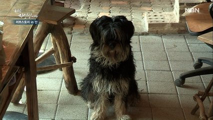 자연인을 껌딱지처럼 따라다니는 댕댕이 두마리! 귀여워…♥