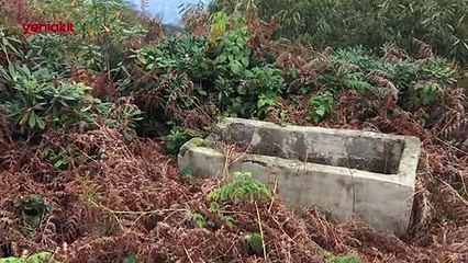 Şehitlikte iç acıtan görüntü