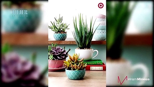 Diseño de interiores | ¿Cómo usar las plantas para decorar? - Nex Panamá