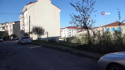 Arnavutköy’de telefon direği sokakta bulunan aracın üstüne düştü
