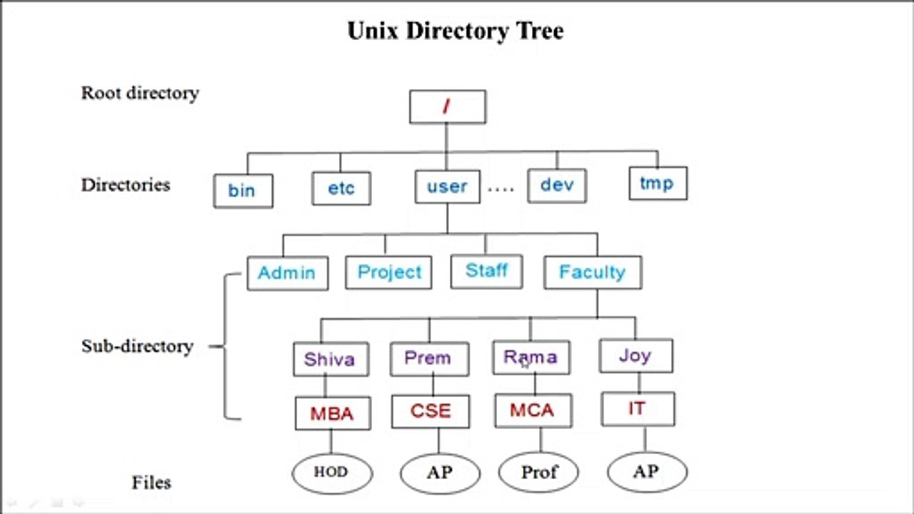 UNIX Operating System Part 3 | UNIX in Hindi for beginners | UNIX Environment | Prem sir | PremnArya | PN Arya