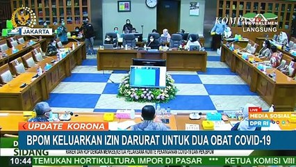 2 Obat Corona Dapat Izin Darurat untuk Digunakan