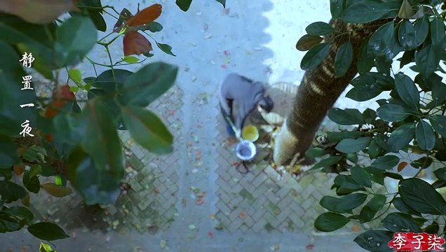 Les chercheurs quatre trésors - Un résumé de milliers d'années de culture chinoise