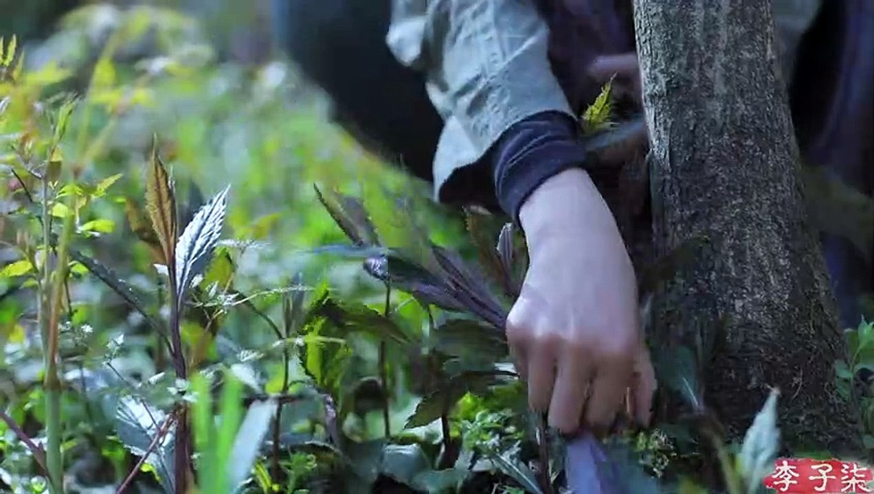Si vous manquez les meilleurs jours pour cueillir des herbes sauvages, vous avez manqué tout le printemps