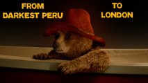 Paddington | Paddington Travels from Darkest Peru to London | Amazing Adventures