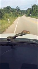 Ce qu'il découvre sur sa voiture est impressionnant