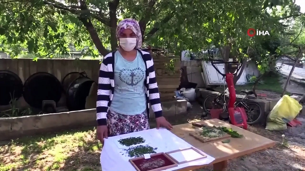 1 Kutusundan Asgari Ücret Kadar Para Kazanıyorlar