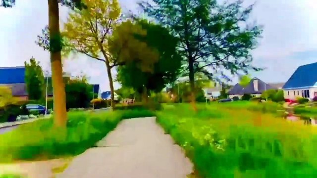 दो सड़कों के बीच ये पौधे क्यों लगाए जाते हैं ?And many amazing random facts are explained in Hindi |