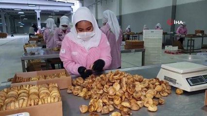 Aydın'dan 45 Günde 83 Ülkeye 70,22 Milyon Liralık İncir İhracatı Yapıldı