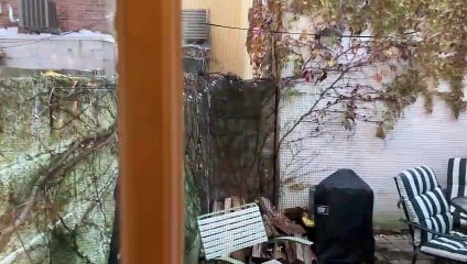 37 Queens Ct, Philadelphia, PA 19147