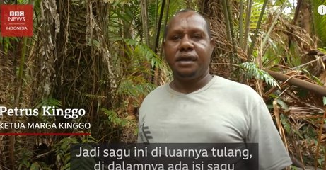 Lara di hutan Papua: Ancaman serius pembukaan lahan demi sawit