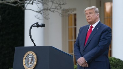 ترامب يدعي أن عدد الأصوات في مقاطعة واين يفوق مجموع الناخبين