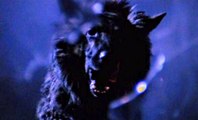 The Beast Must Die Movie (1974) - Calvin Lockhart, Peter Cushing, Marlene Clark