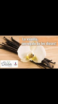 Propiedades y beneficios de la Vainilla | Cocina Delirante