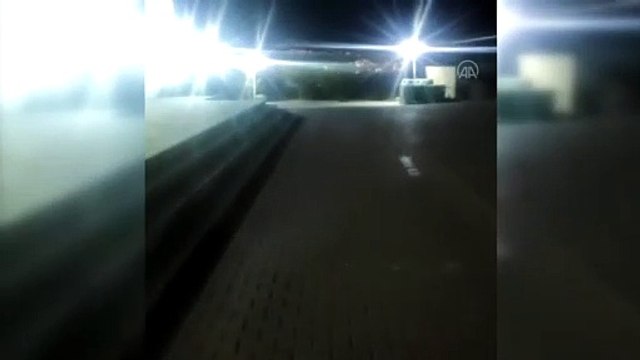 KARABÜK - Yaban domuzu sürüsü Karabük Üniversitesi kampüsüne girdi