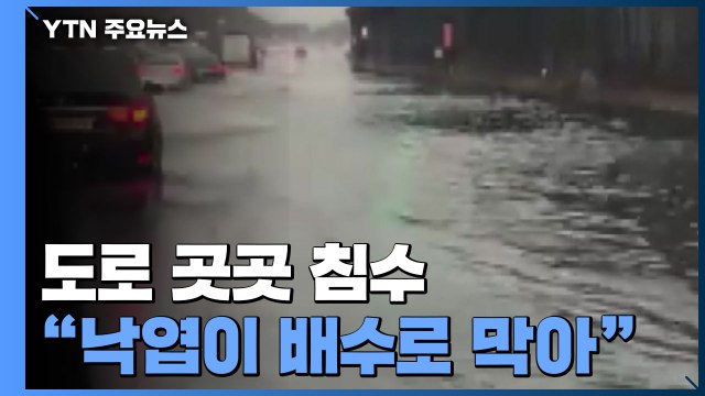 [제보영상] 이례적 늦가을 폭우로 도로 곳곳 침수... 낙엽이 배수로 막아 / YTN