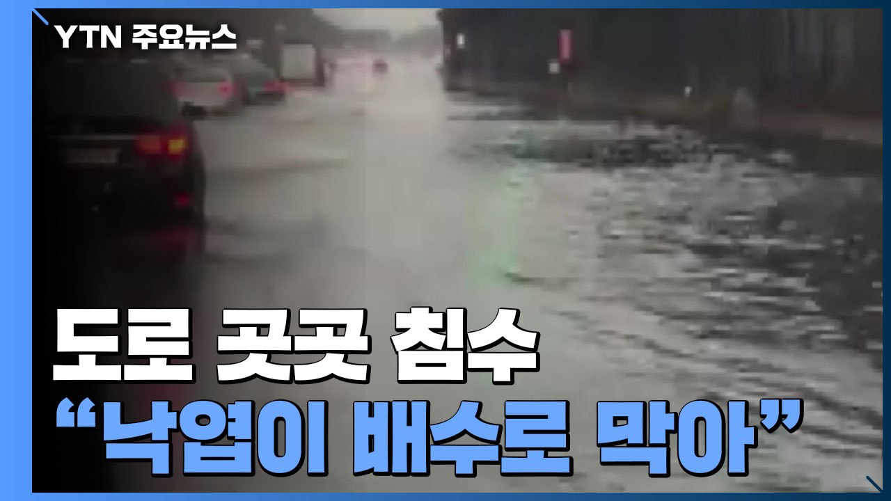 [제보영상] 이례적 늦가을 폭우로 도로 곳곳 침수..."낙엽이 배수로 막아" / YTN