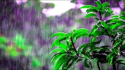 22 minutos de Música Relajante con Lluvia,   Piano y Guitarra para Dormir